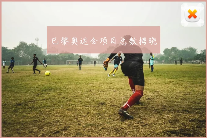 巴黎奥运会项目总数揭晓