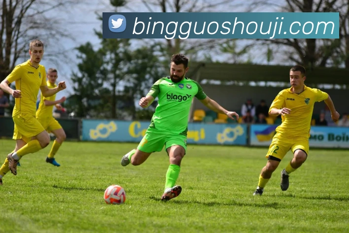 leyu乐鱼网页版在线登录服务体系