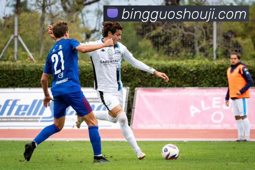 leyu乐鱼网页版在线登录APP 体育赛事宣传图